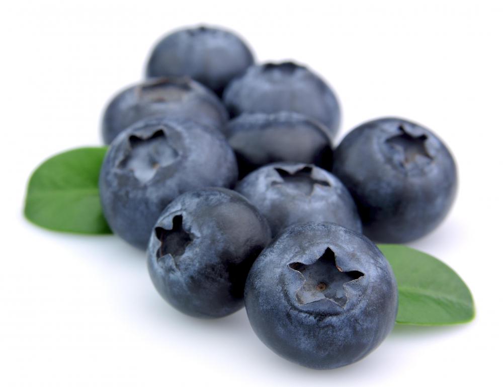 Huckleberries, which grow in a bog.