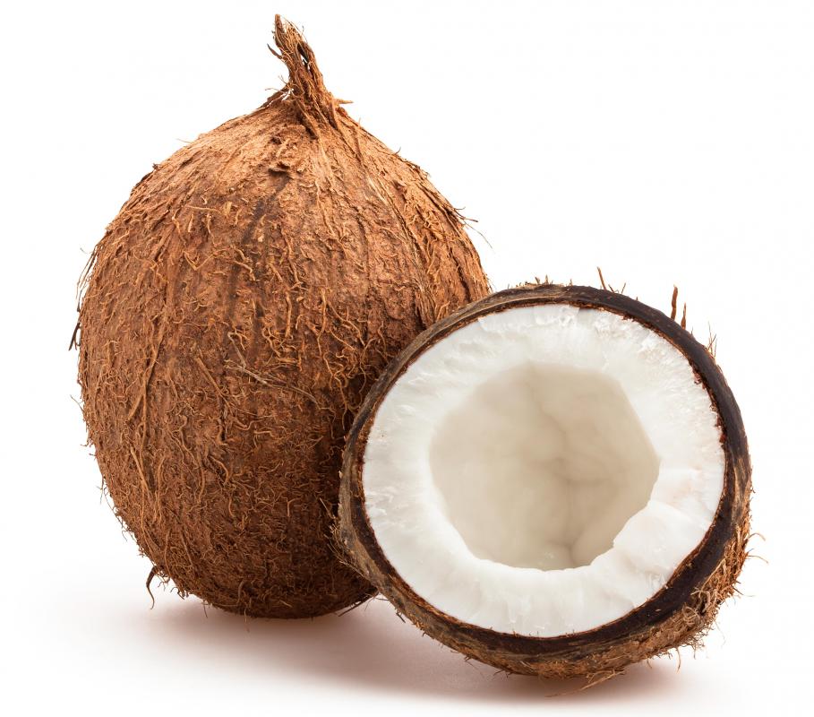Palm trees are closely associated with palm trees, so much so that many people are surprised when they don't see coconuts on a palm tree.