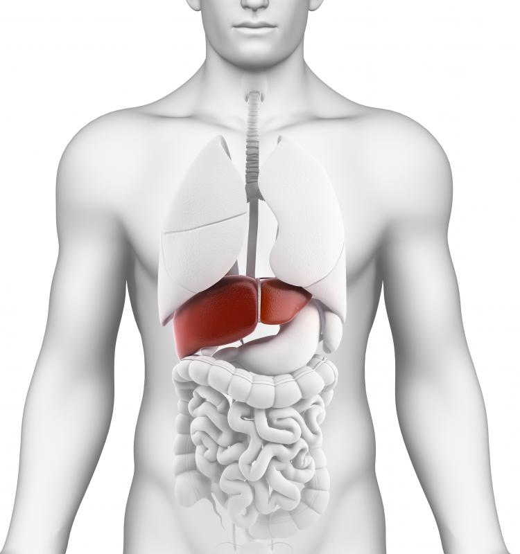 People with liver damage should avoid consuming mugwort.