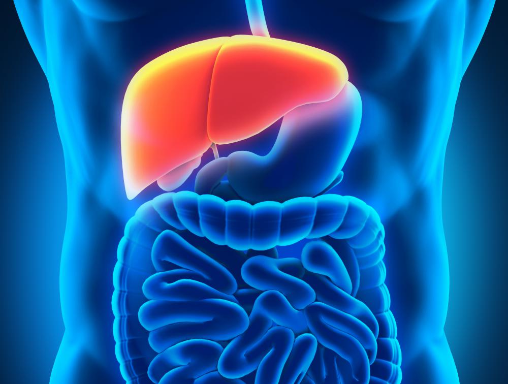 Exposure to perchloroethylene, used by 90% of dry cleaners in the US, may cause liver damage.