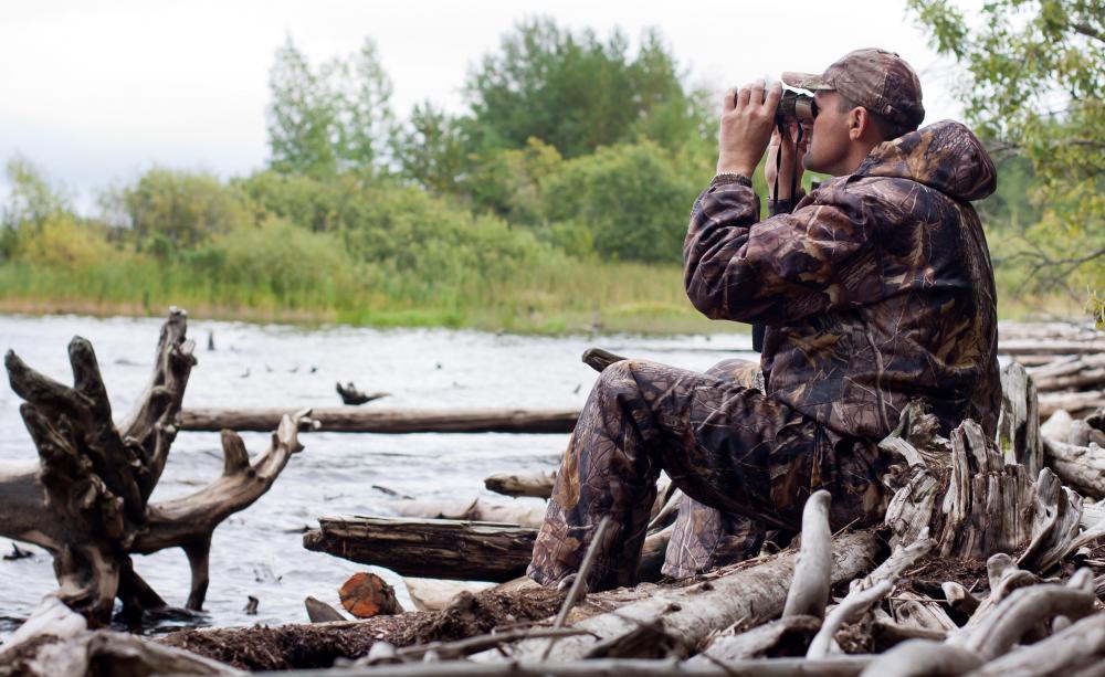 Pheasants are one creature that hunters enjoy tracking.