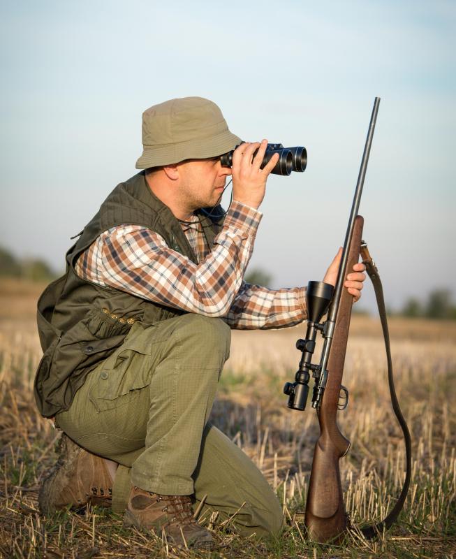 Many hunters look for antlers with a large number of points.