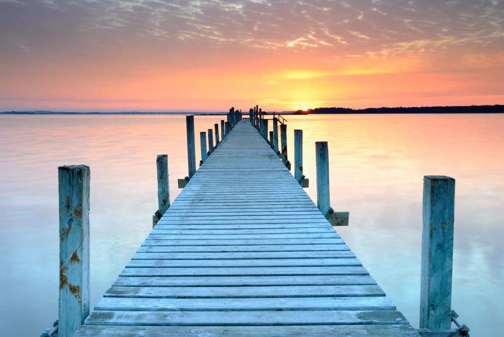 All of the plants and animals in a lake are part of its ecosystem.