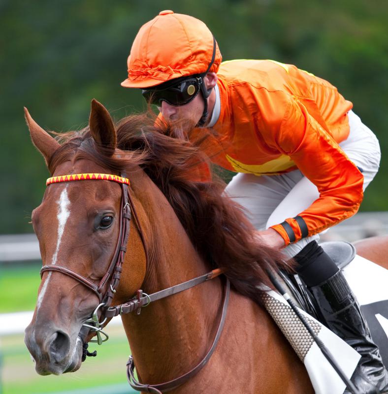 Racehorses are specifically bred and trained for riding on racetracks.