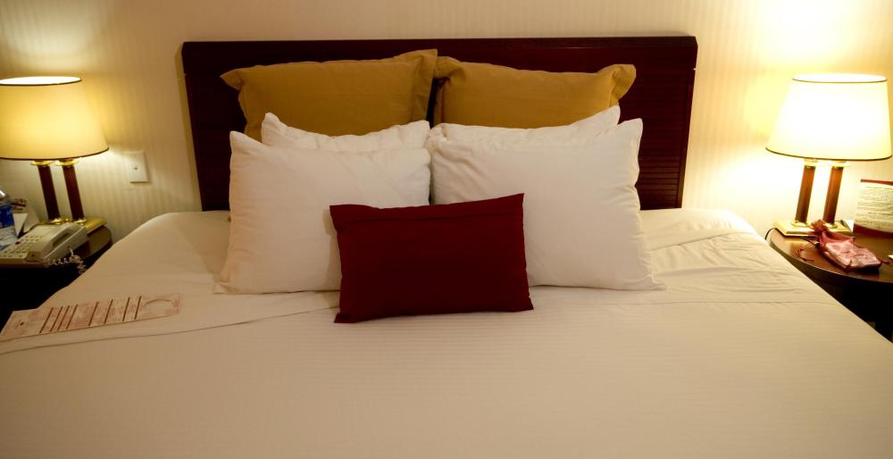 People should avoid hotels with bed mites.