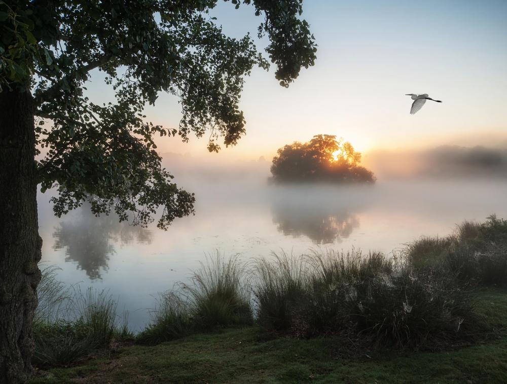 Stratus clouds are often so low that they turn into ground-based fog.