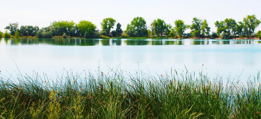 Wetlands are crucial for maintaining the local ecosystem by providing a space for excess water to collect.