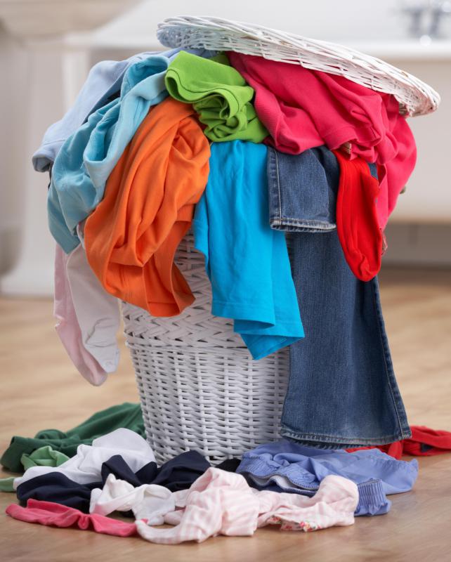 Leaving dirty laundry around may attract fruit flies.