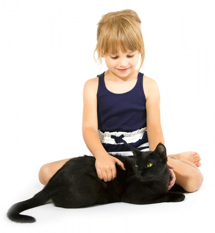 Cats are often territorial.