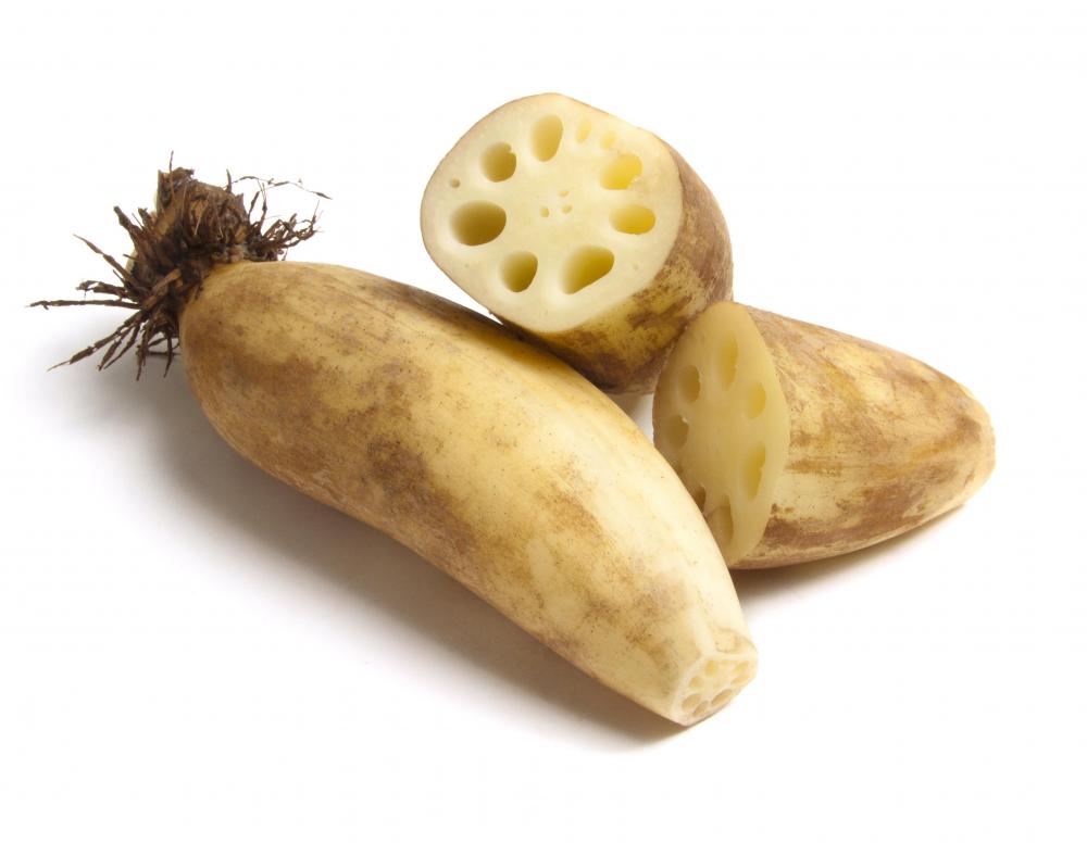 The roots of the lotus are edible.