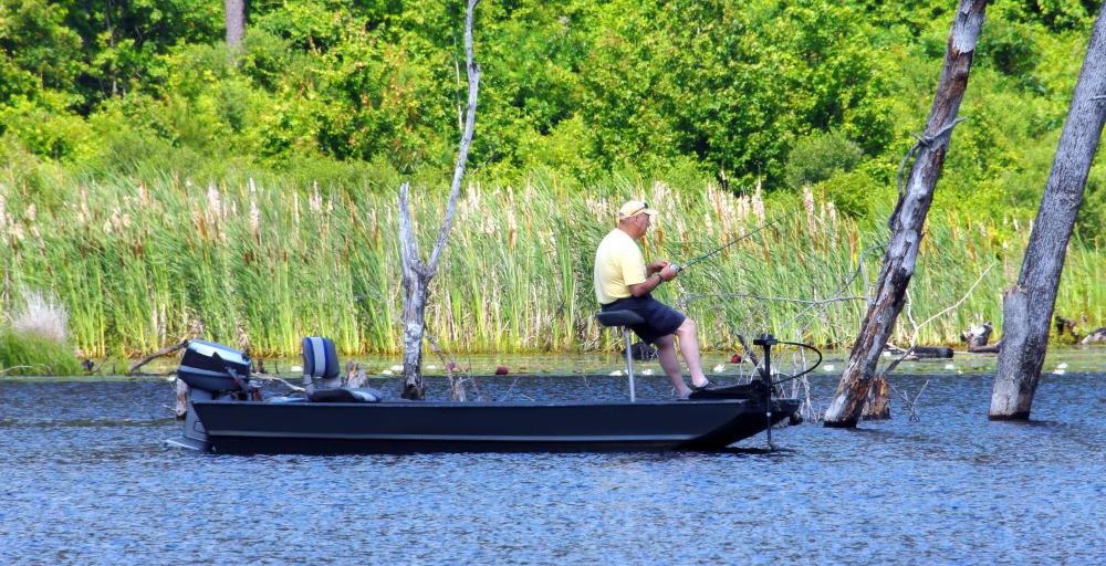 Bass is a popular freshwater sport fish.