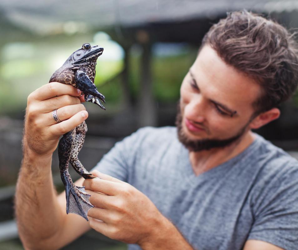Animal conservationists sometimes breed animals in captivity.