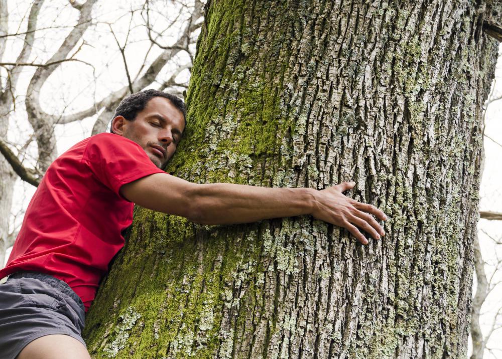 Members of the Earth Liberation Front are passionate about preserving natural resources.