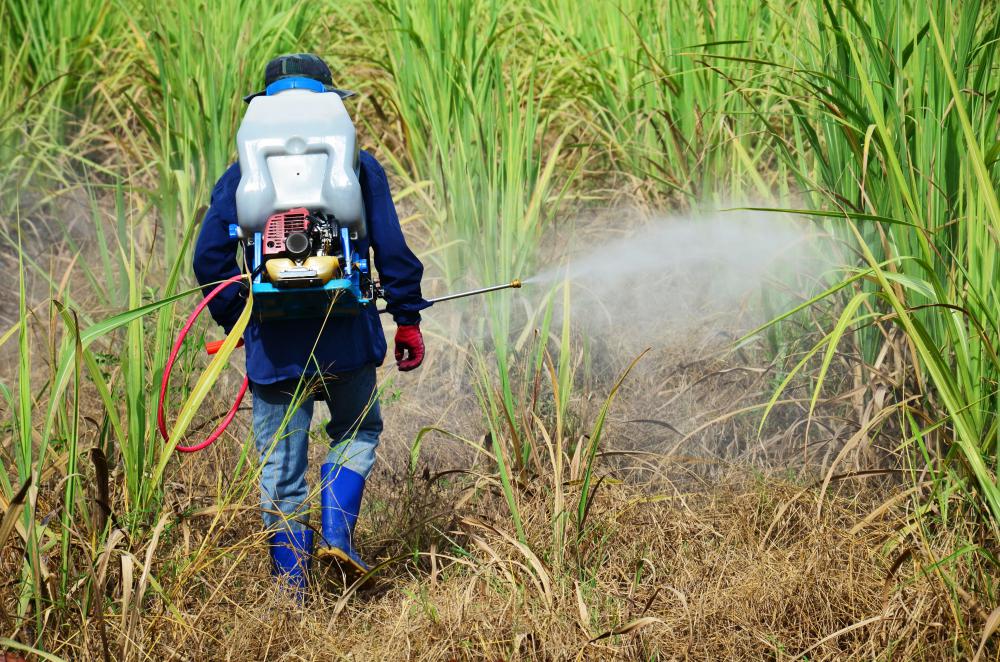 Pesticides contribute to polluted air and water, which harms various species.