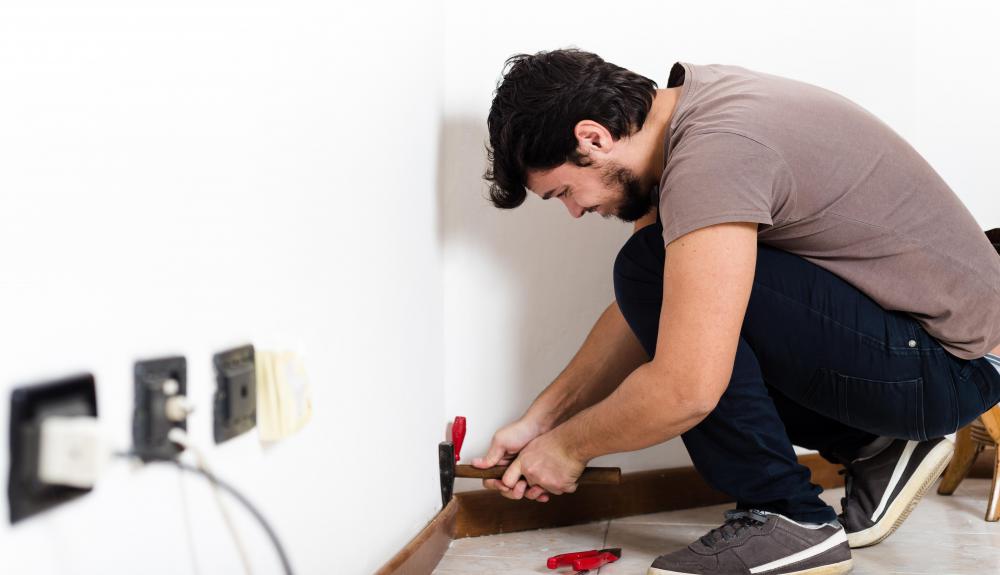 In homes, silverfish tend to live behind baseboards.