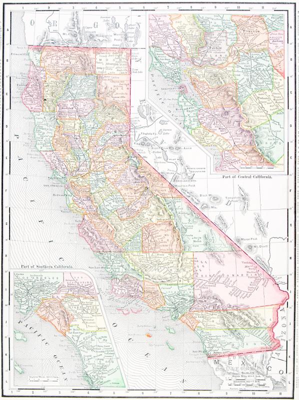 Northern California is home to one of the only pygmy forests.