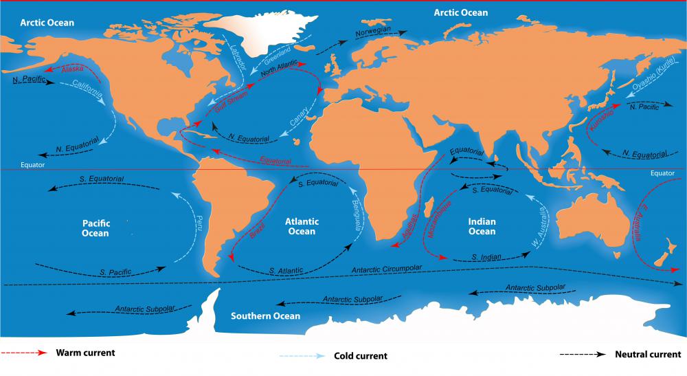 Ocean currents led to the formation of the Great Pacific Garbage Patch.