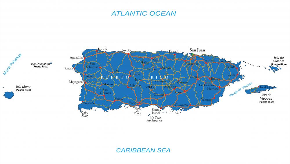 One subspecies of the broad-winged hawk is found only in Puerto Rico.