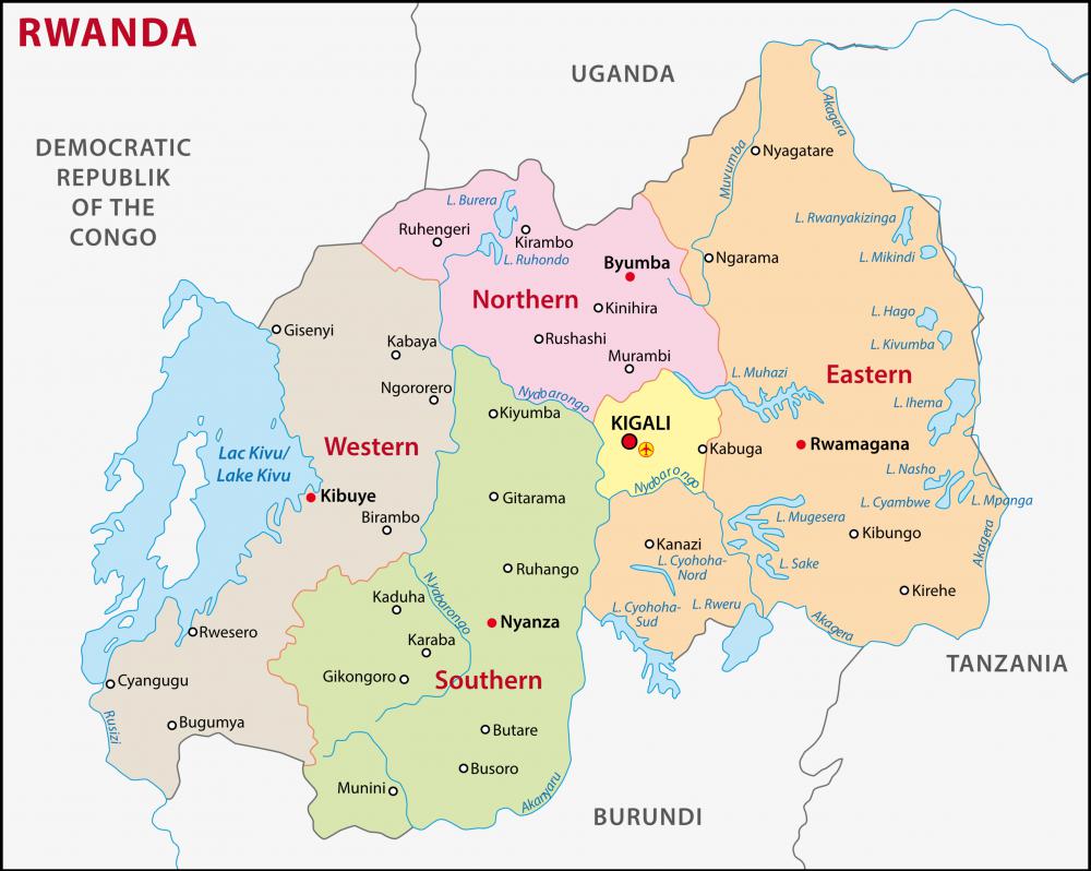 Small populations of shoebills are found in Rwanda.