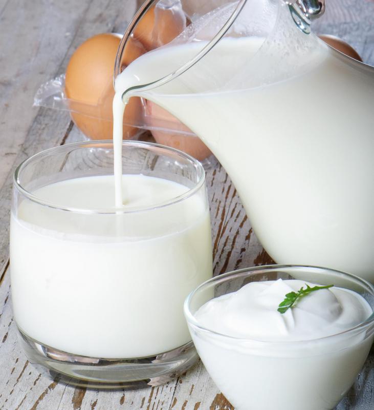 Dairy cattle are bred for their quality milk.