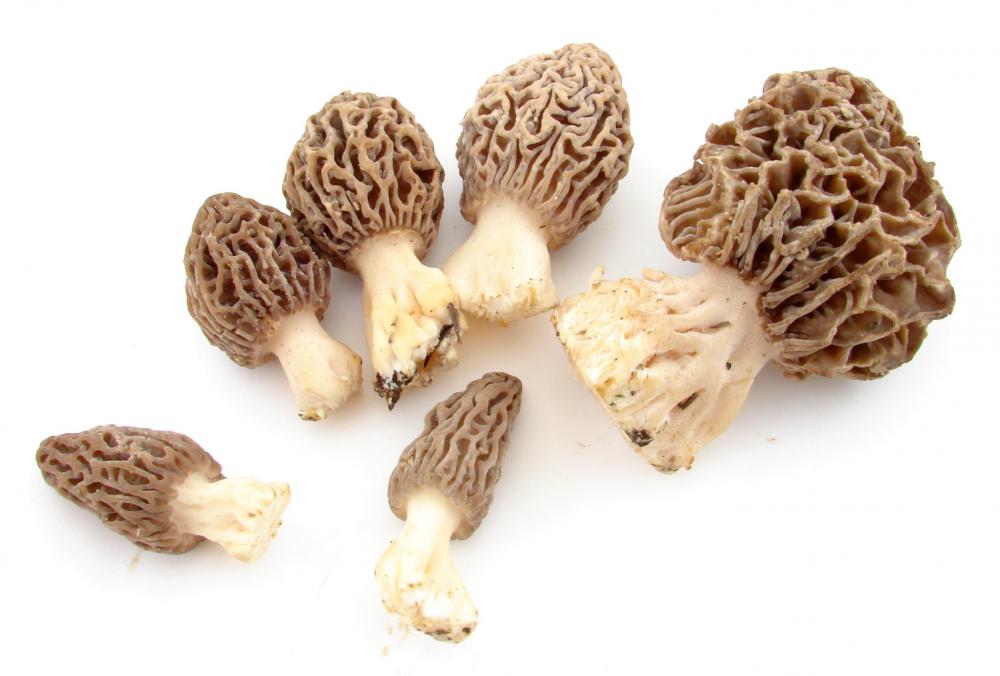 Real morel mushrooms.