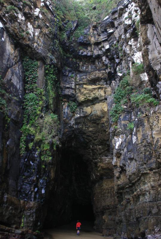 New Zealand is one of the few places in the world where land snakes are largely absent.