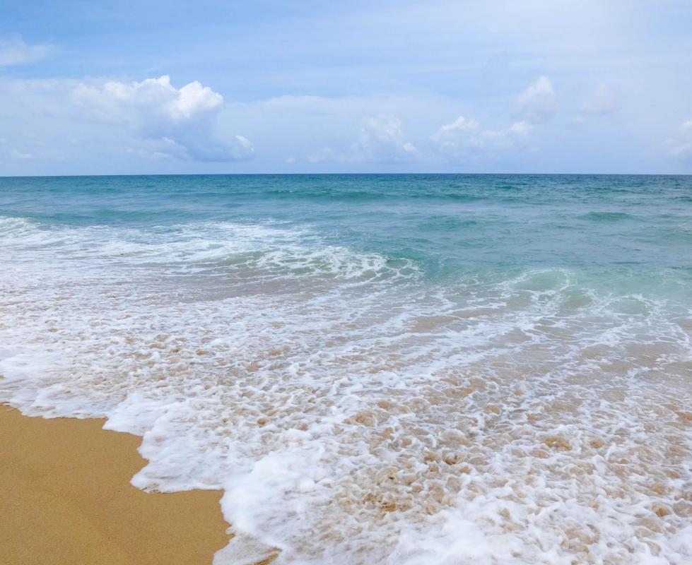 Since two-thirds of the planet's surface is ocean, the temperature of the ocean has a profound effect on climate.