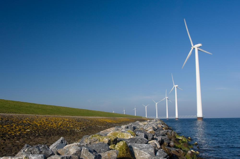 A wind farm that's used to make renewable energy.