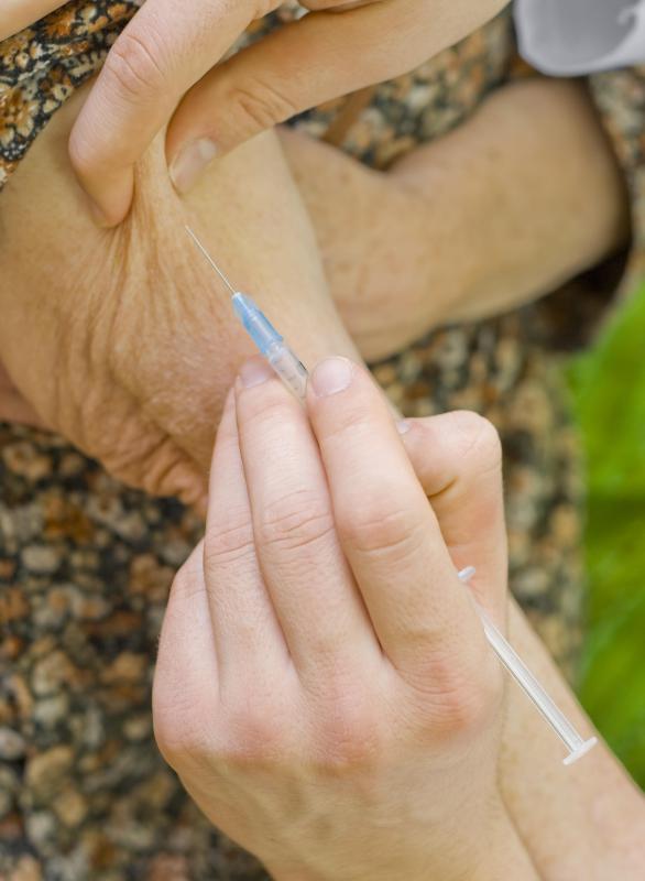 A vaccine that is designed to prevent the occurrence of polyoma, which is the most commonly contracted bird disease, is available.