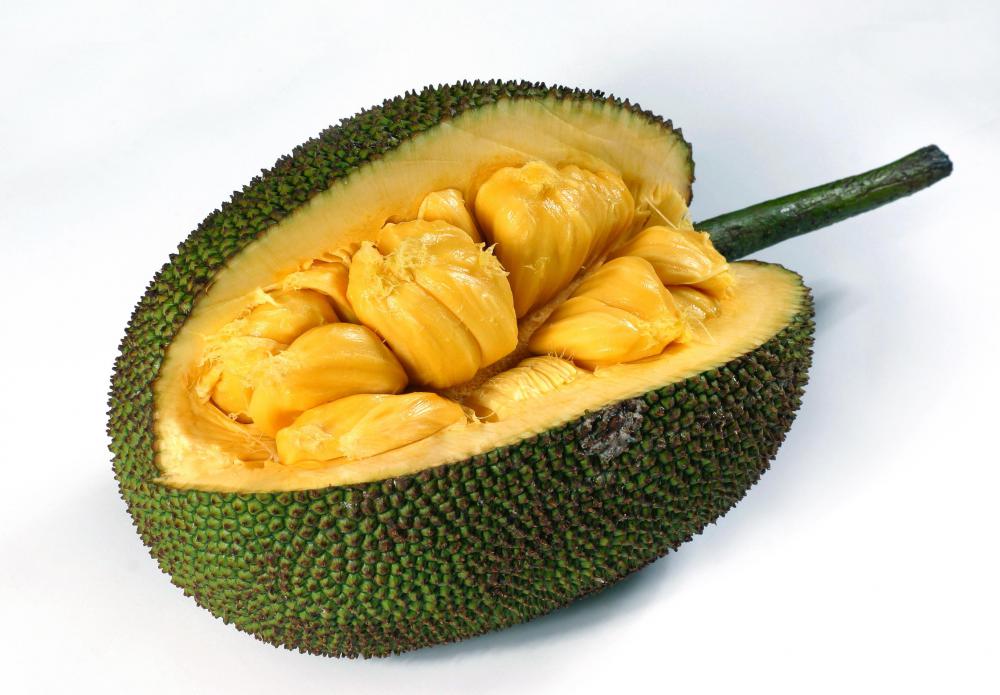 Jackfruit comes from one species of Artocarpus.