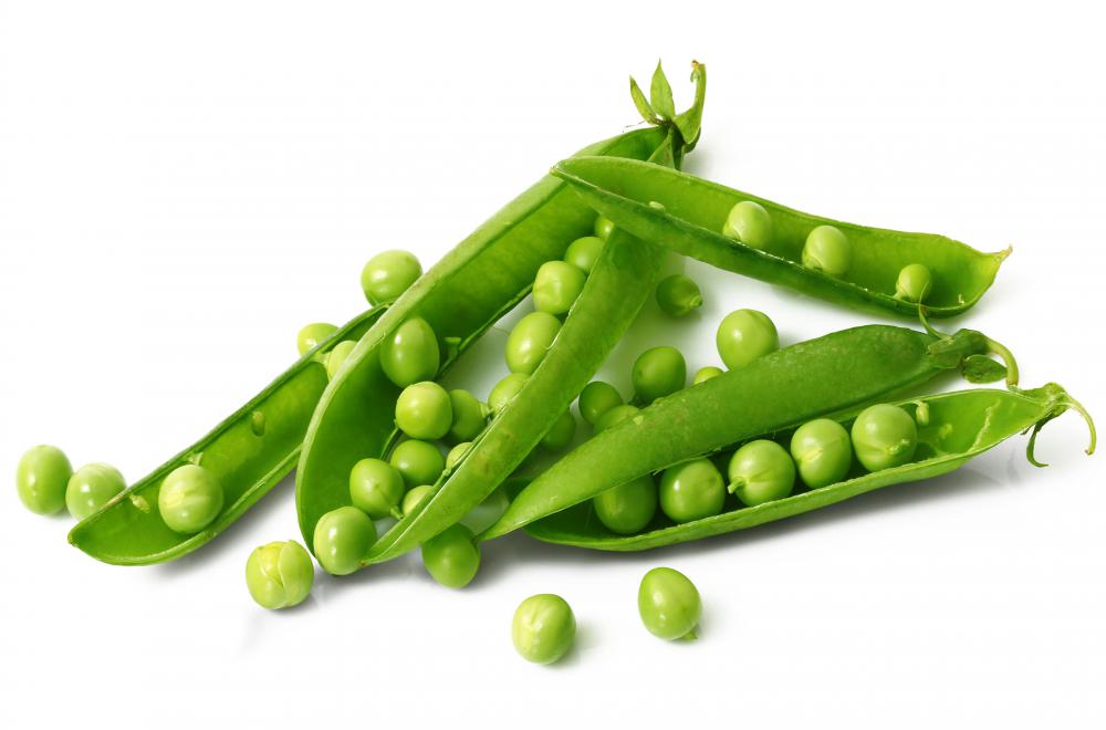 Gregor Mendel experimented with pea plants to create hybrids with specific qualities.