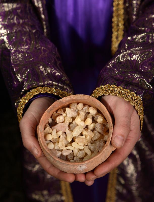 Frankincense is made from the torchwood family of trees.