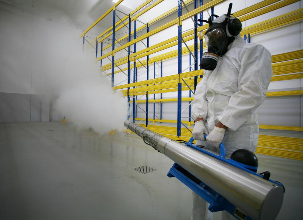 It's difficult to control hobo spiders through fumigation.