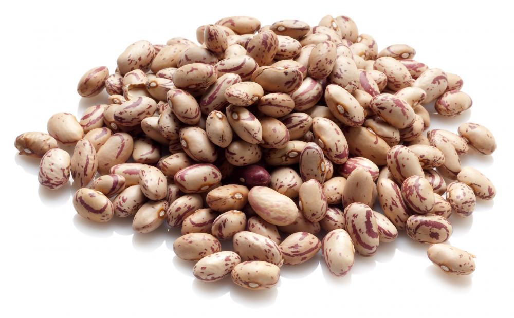 Dietary fiber, like that found in beans, can help a constipated cat.