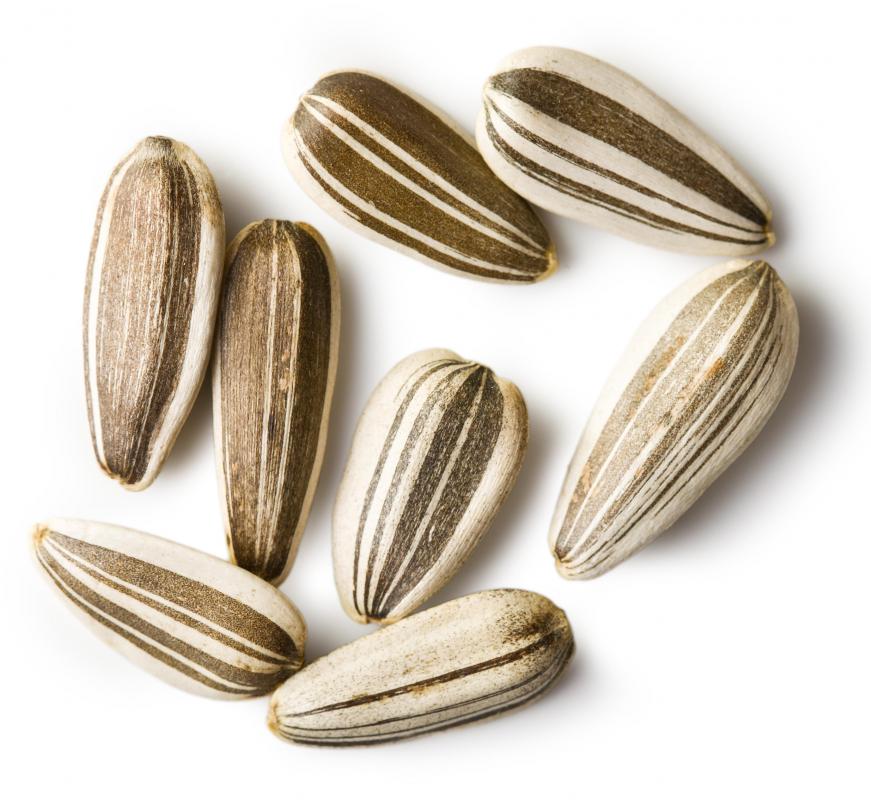 Roasted sunflower seeds are a popular snack.