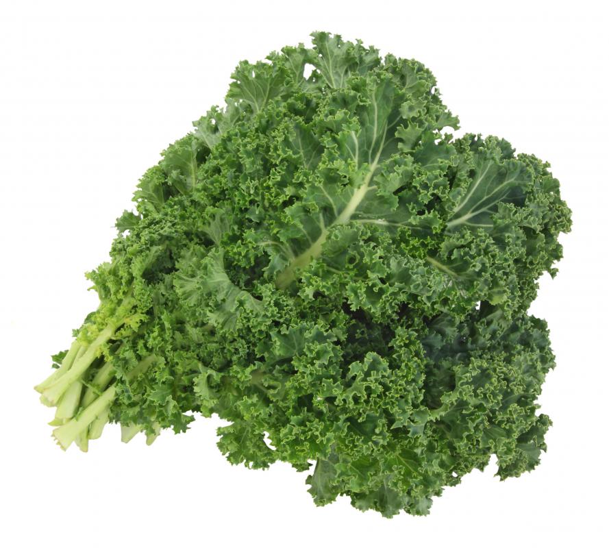 Kale works well for chlorophyll extraction.