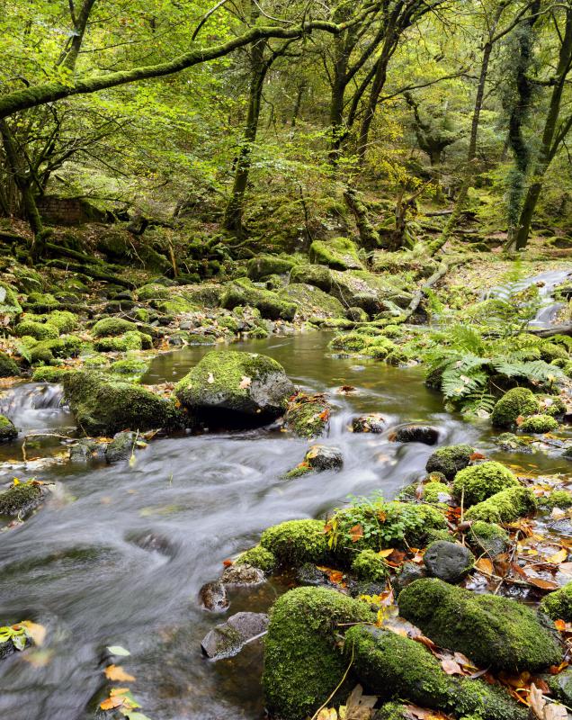 Runoff from lakes, rivers, and streams contribute to the water table.