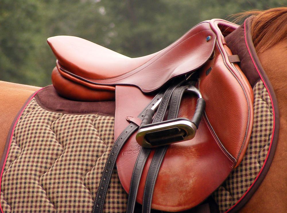 Therapeutic pads for horses are placed under a saddle to provide extra padding.