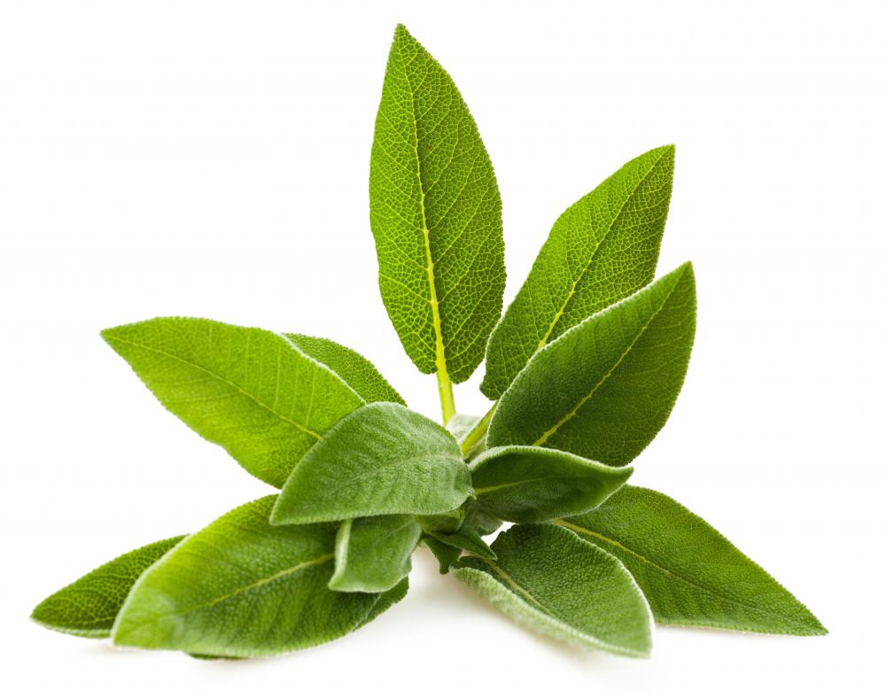 A sprig of sage.