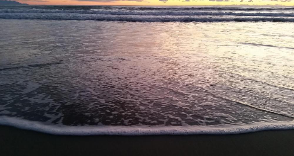 Land reclamation may be used to repair environmental damage on a beach.