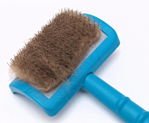 Selecting the right pet brush is an important part of grooming.