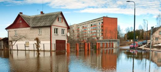 In flash floods, heavy rains or other waters quickly submerge low-lying areas.