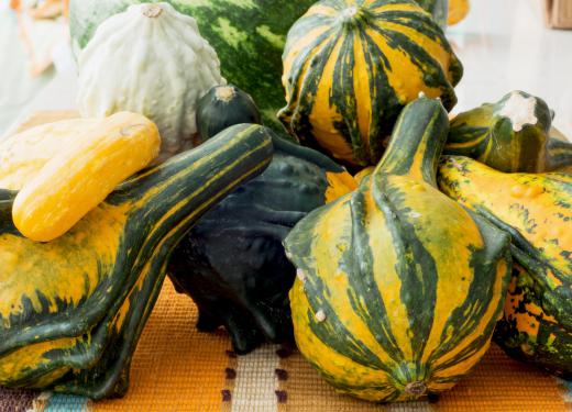 Every species of edible gourd comes from the cucurbitaceae family of plants.