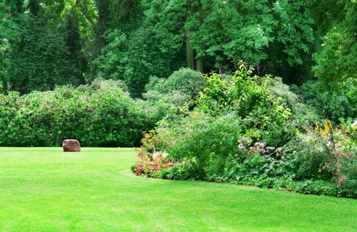 An example of secondary succession is landscaping near dense foliage.