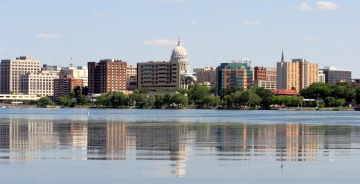 The badger is Wisconsin's state animal.