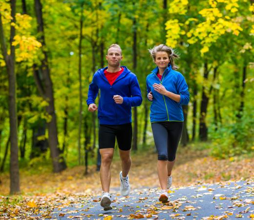 Creating nature trails is part of land conservation.