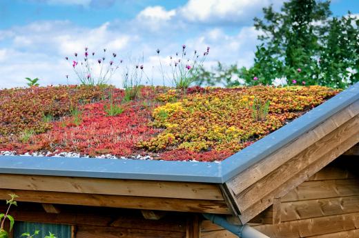 Green roofs, or roofs which feature vegetation, insulate a property and also reduce the amount of impervious surface.