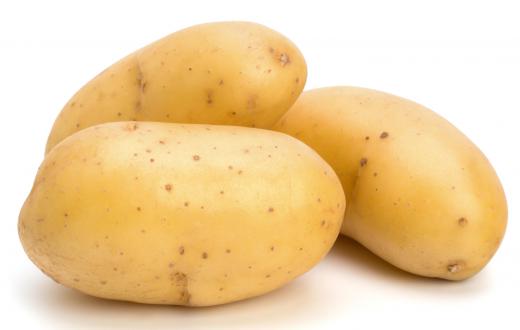 Potatoes are monocots, a type of angiosperm.