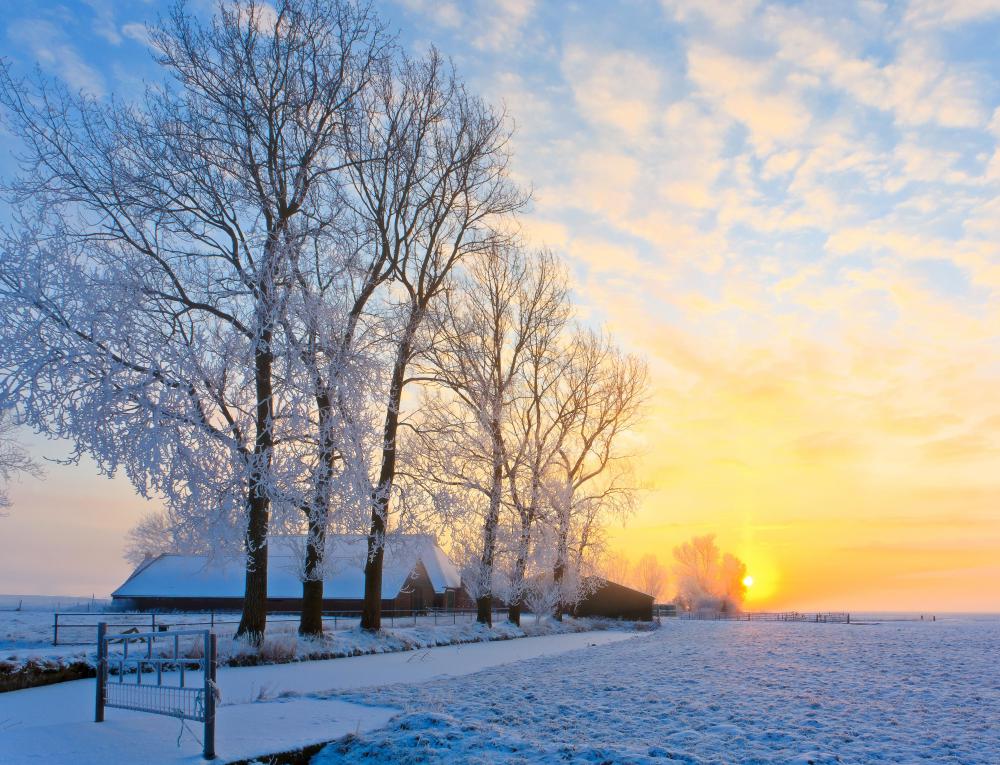 Many cultures have holidays around the winter solstice.