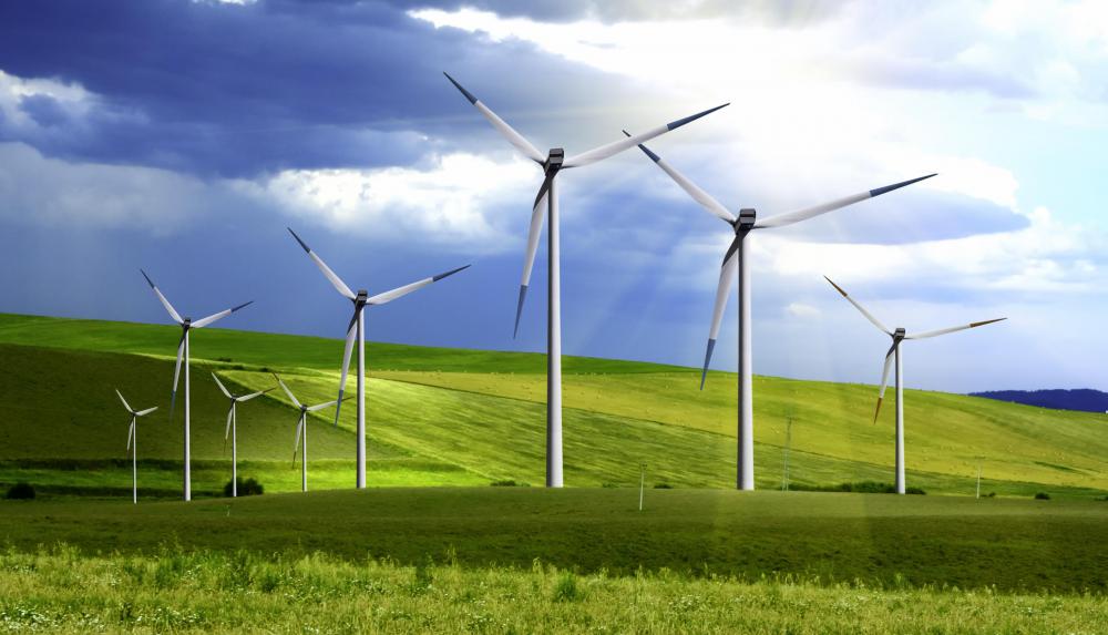 A wind farm, which is used to make clean energy.